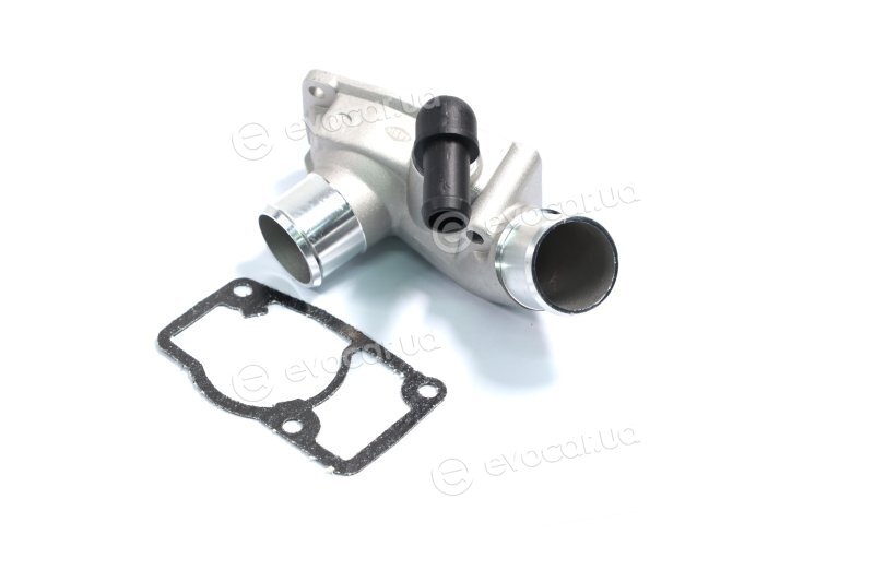 Sasic 3306048