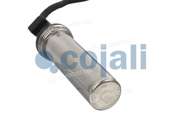Cojali 2260048