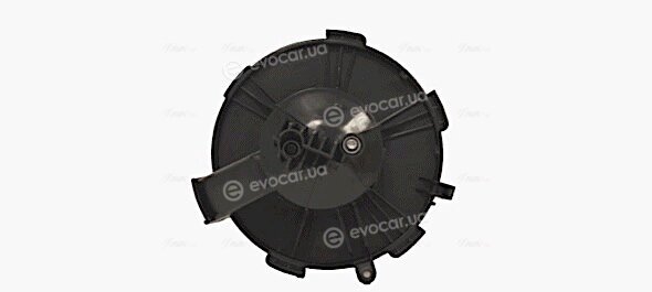 AVA OL8696