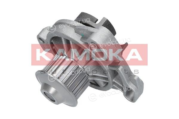 Kamoka T0275