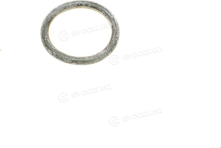 Elring 506.540