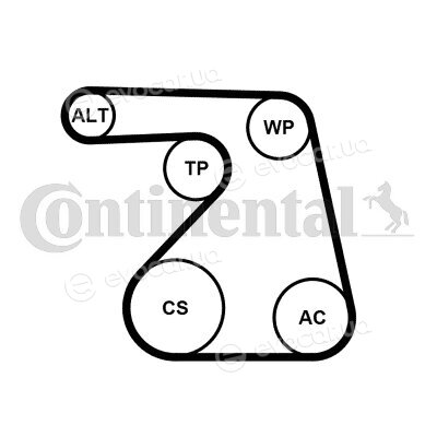Continental 6PK1217WP1