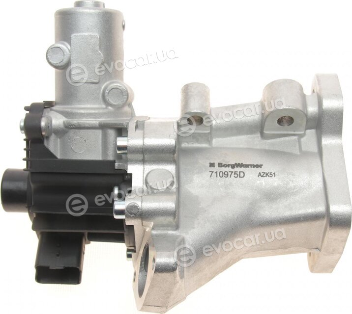 Wahler / BorgWarner 710975D