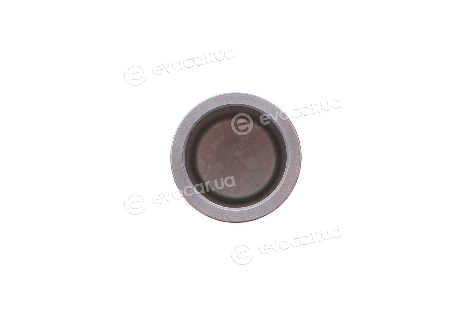 Frenkit P425503