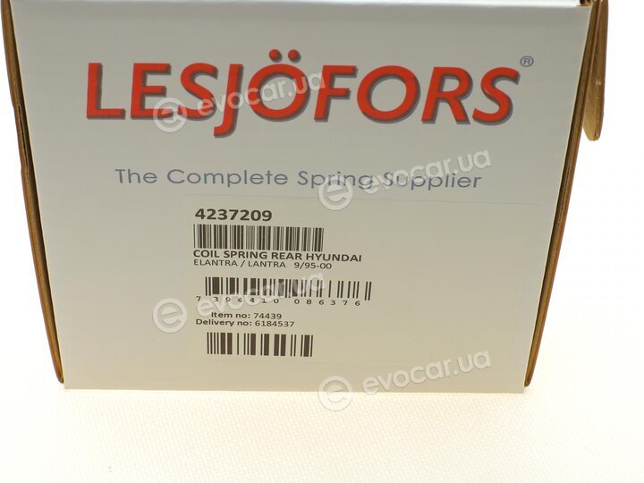 Lesjofors 4237209