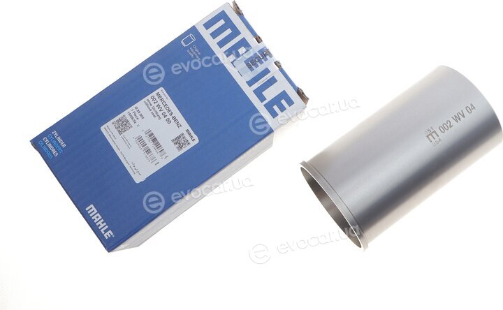 Mahle 002 WV 04 00