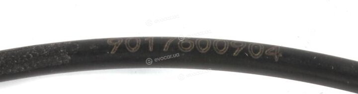 Solgy 305004