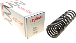 Lesjofors 4227556