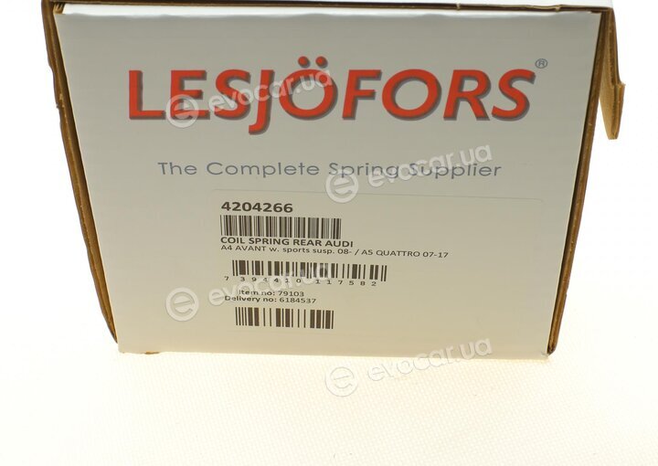 Lesjofors 4204266