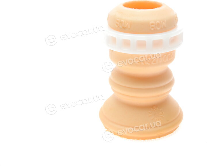 Borsehung B10008