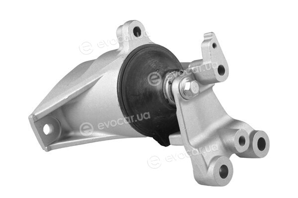Tedgum TED46734