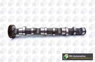 BGA CS1521