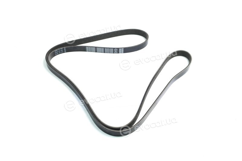 Dayco 6PK2155S
