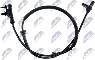 NTY HCA-MS-038