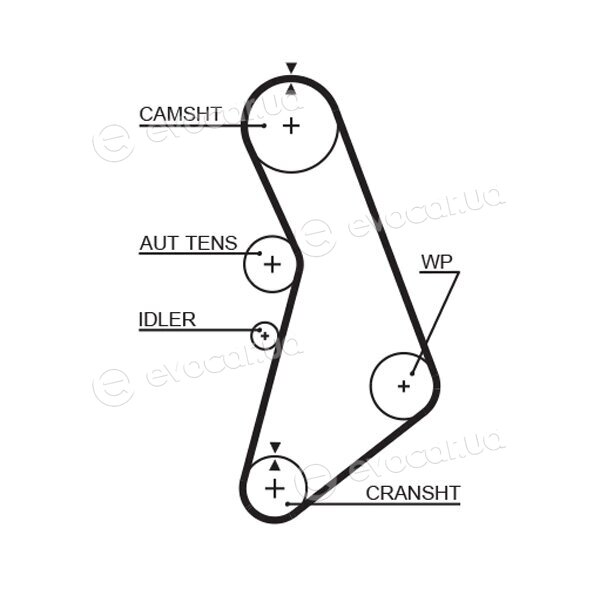 Gates K015491XS