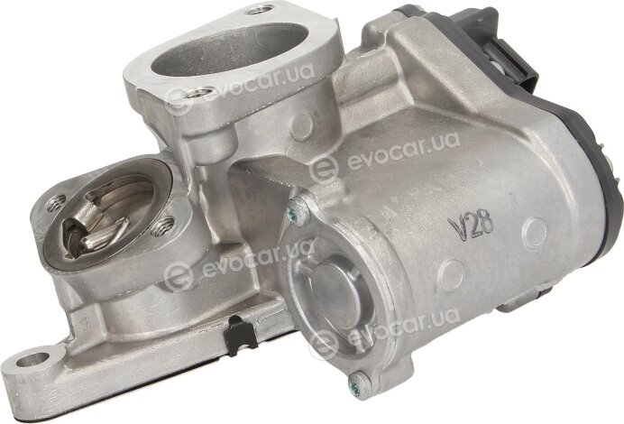 Continental A2C59515008