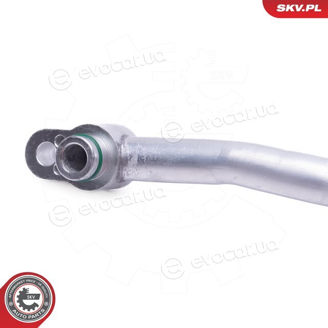 SKV 43SKV581