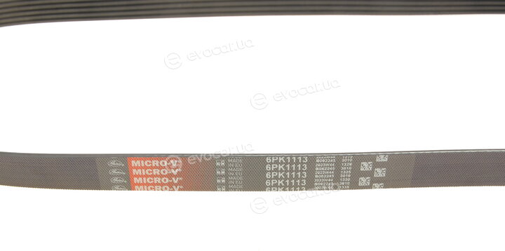 Gates 6PK1113