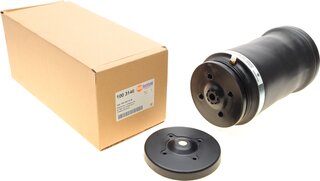 Autotechteile 100 3146