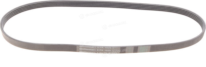 Continental 5PK1025