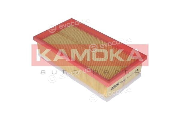 Kamoka F223601