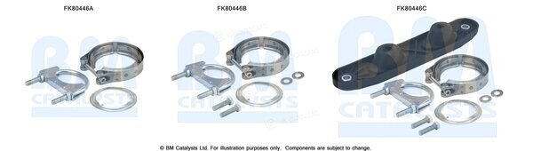 BM Catalysts FK80446