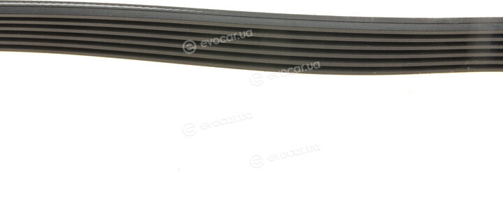 Hutchinson 1368 K 6