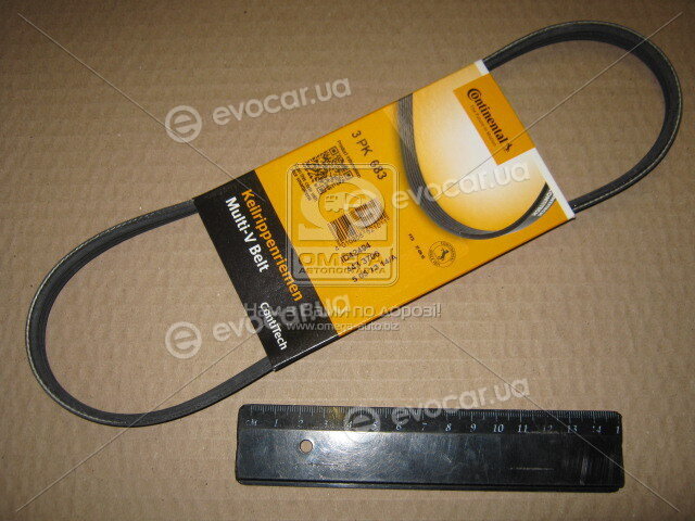 Continental 3PK683