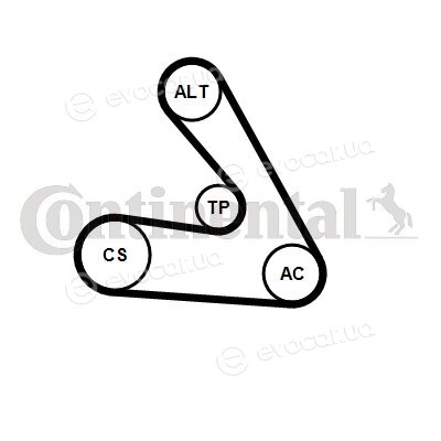 Continental 6PK1270K1