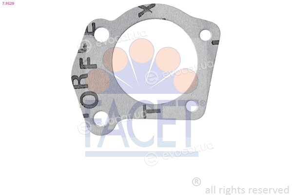 Facet 7.9529