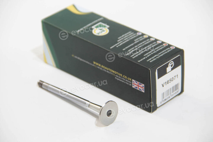 BGA V165071