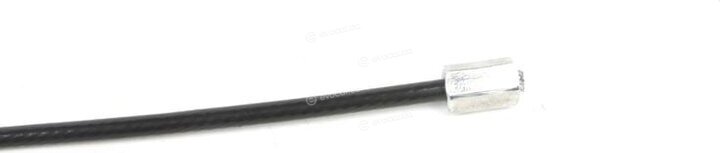 Solgy 219079