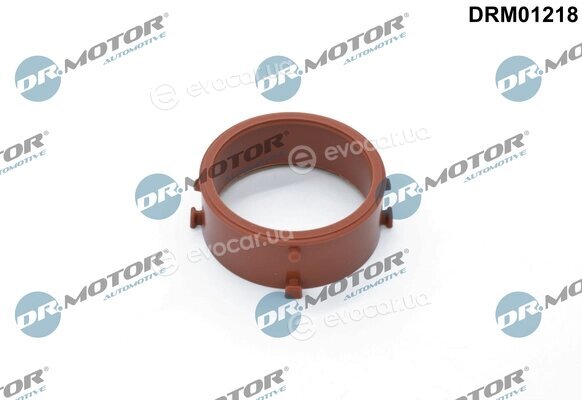 Dr. Motor DRM01218