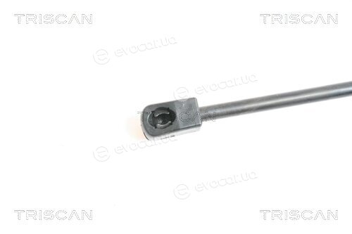 Triscan 8710 50237