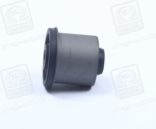 RBI M24V75P