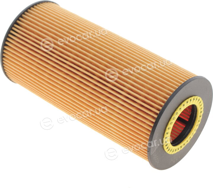 Solgy 101013
