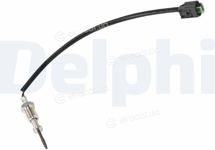 Delphi TS30042