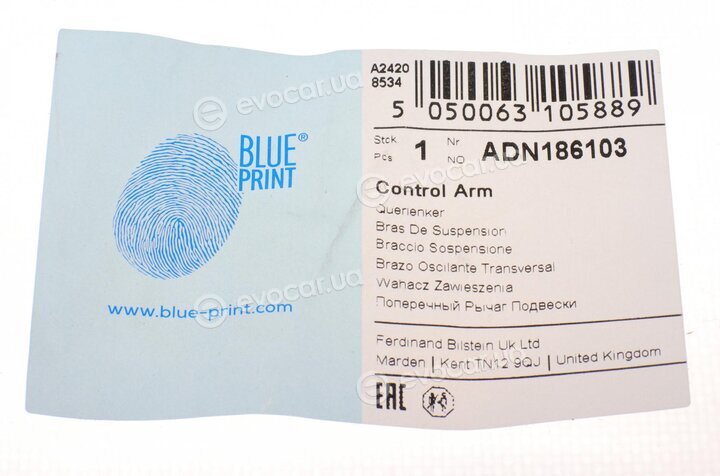 Blue Print ADN186103