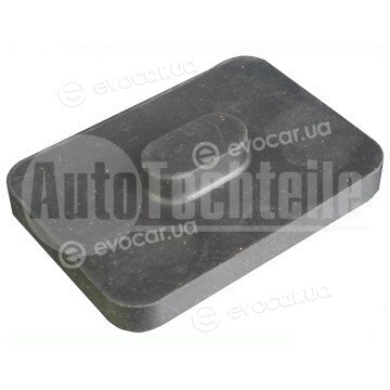 Autotechteile 100 3196