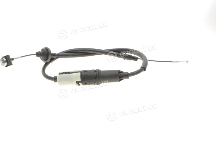 Cavo 7001 636