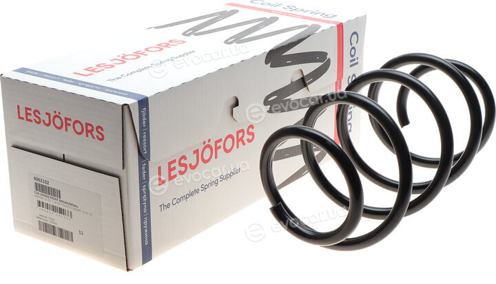 Lesjofors 4062102