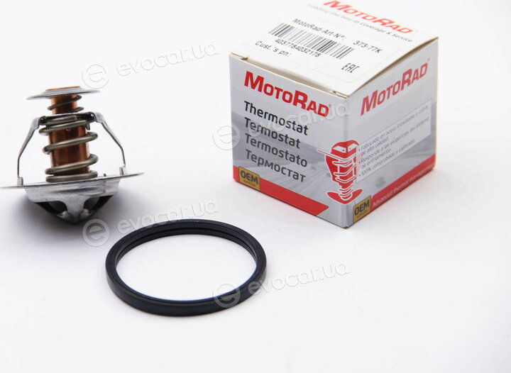Motorad 373-77K