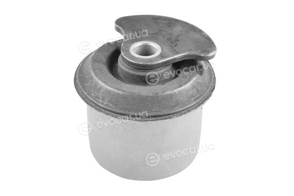 Tedgum TED45338