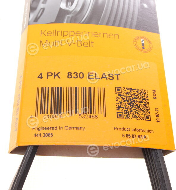 Continental 4PK830 ELAST