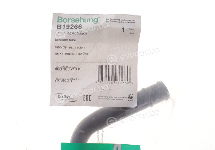Borsehung B19266