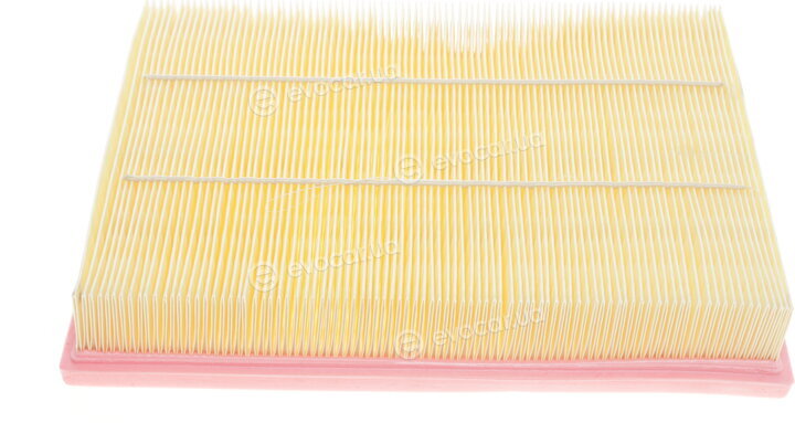 Solgy 103053