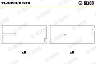 Glyco 71-3893/6 STD