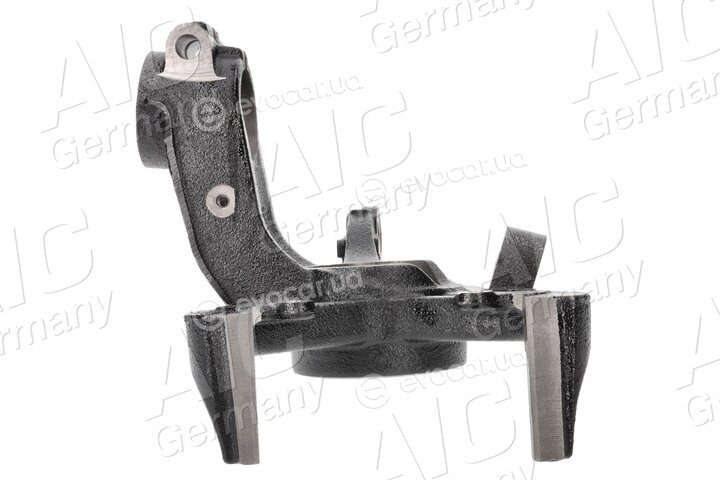AIC 57196