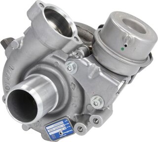 BorgWarner 54389880017