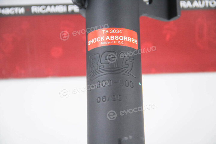 BSG BSG 75-300-003